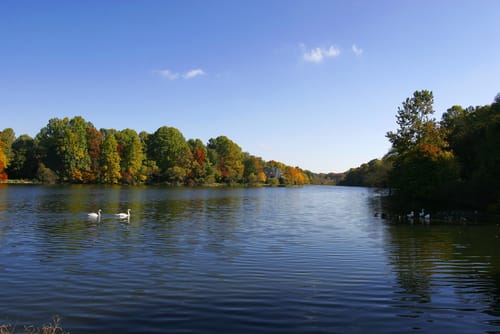 Portner & Shure - abogados en Columbia, Maryland